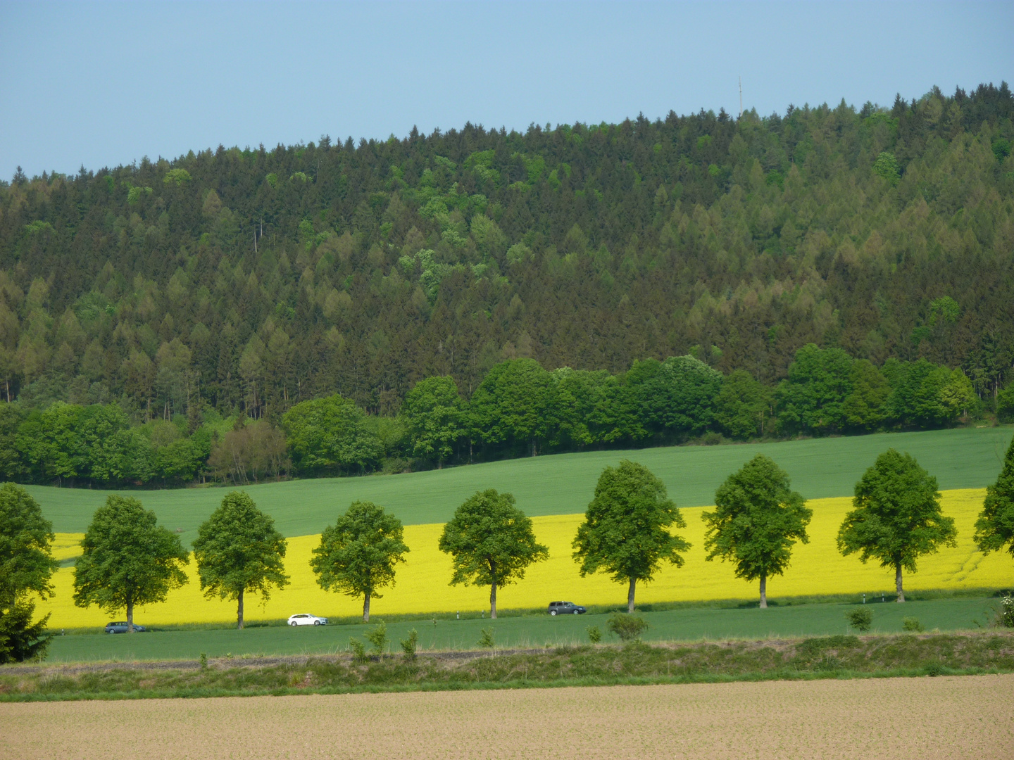 Entlang der Straße