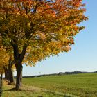 Entlang der Straße 