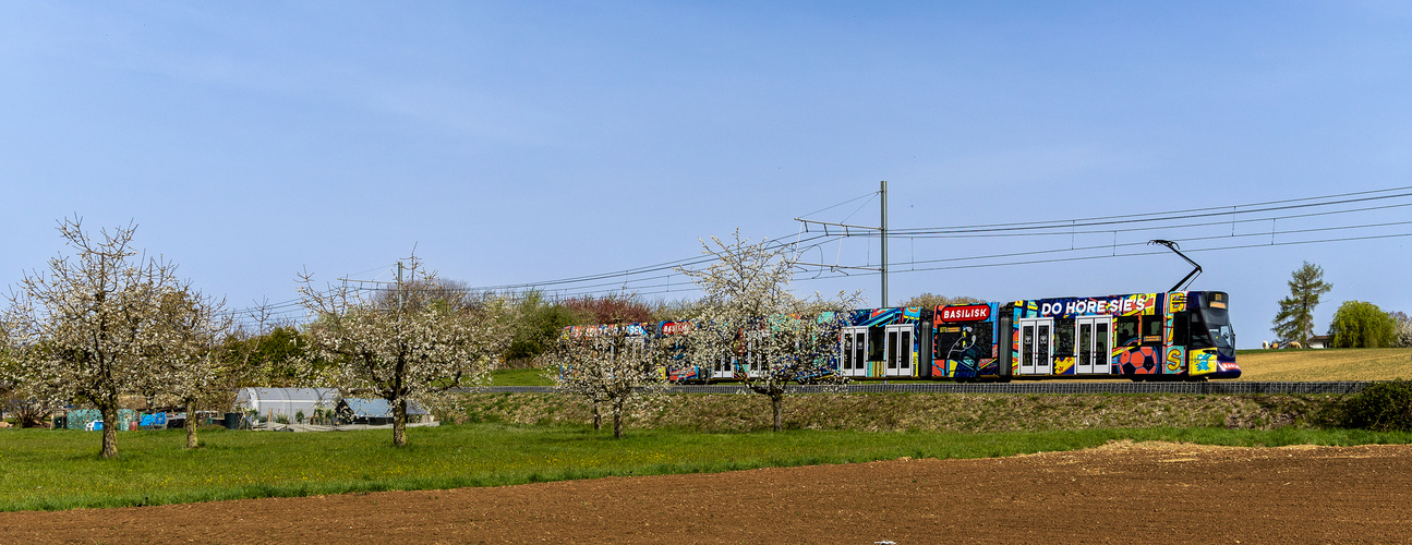 Entlang der Streuobstwiesen