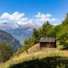 Entlang der Suone Beitra - der Blick talauswärts