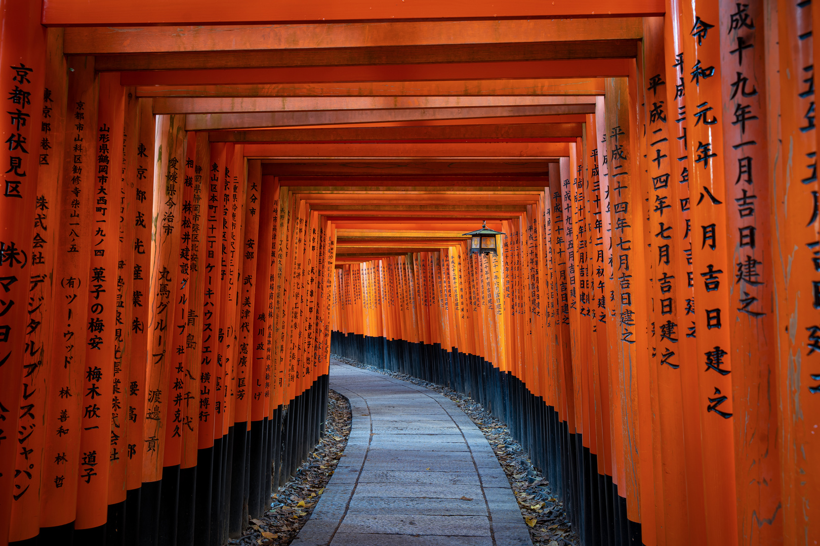 - entlang der tausend Torii -