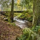 Entlang der Truse | Thüringer Wald