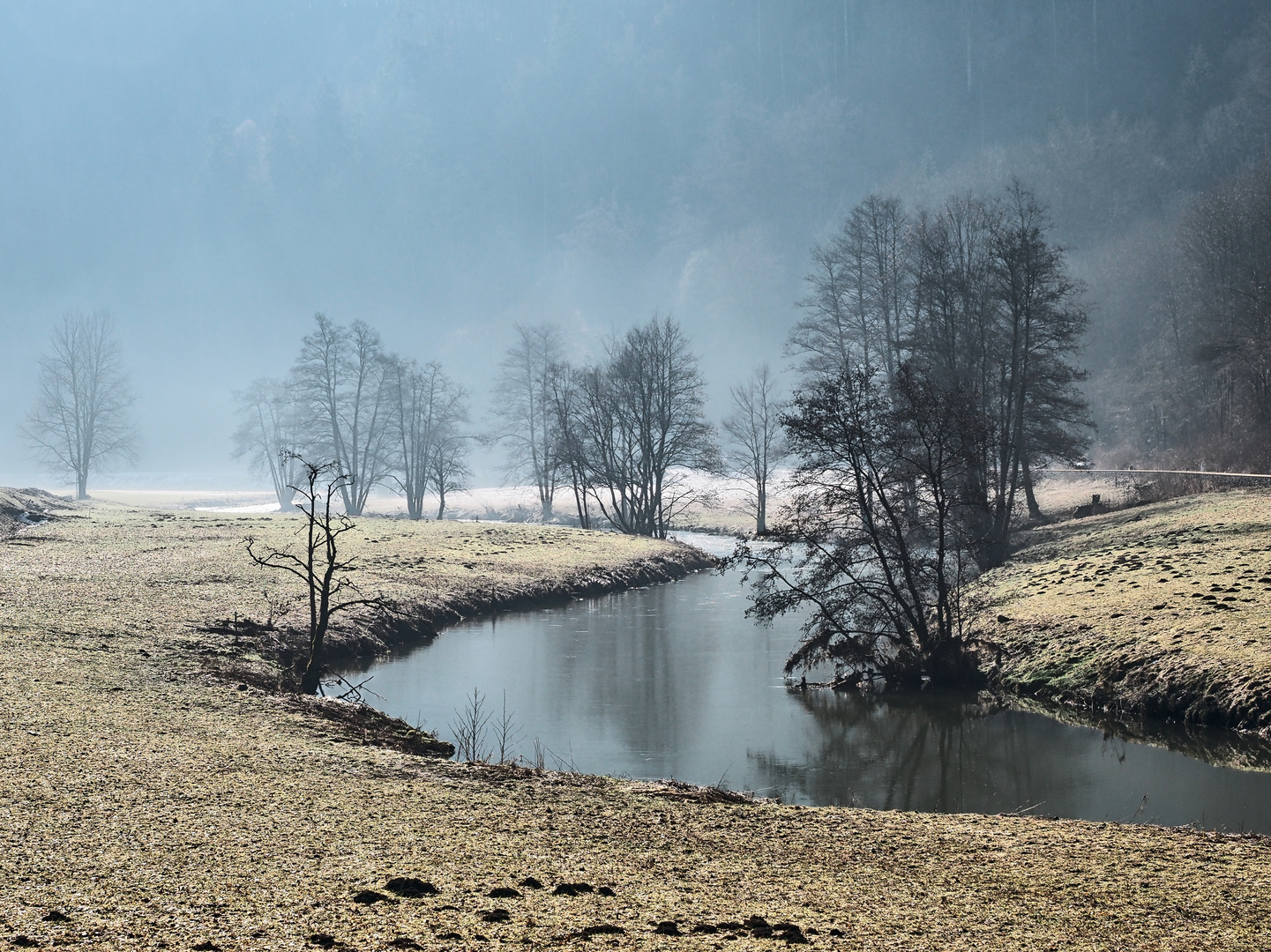 Entlang der Wiesent