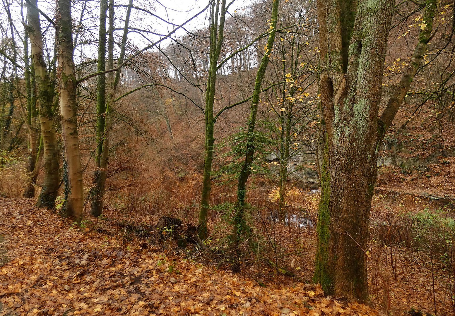 Entlang der Wupper