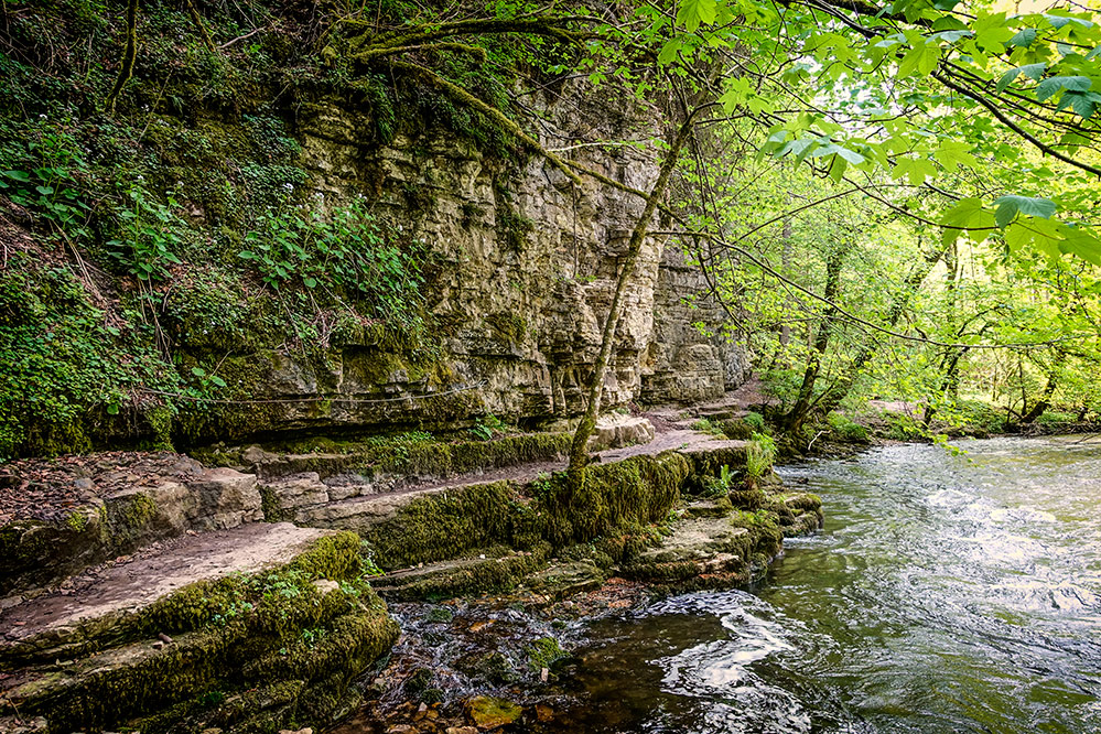 ~~~ entlang der Wutach ~~~