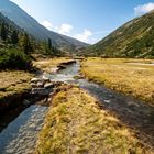 entlang des Bachlaufs im Zamser Grund