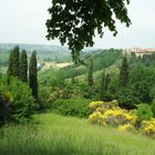 entlang des Mincio am Lago di Garda