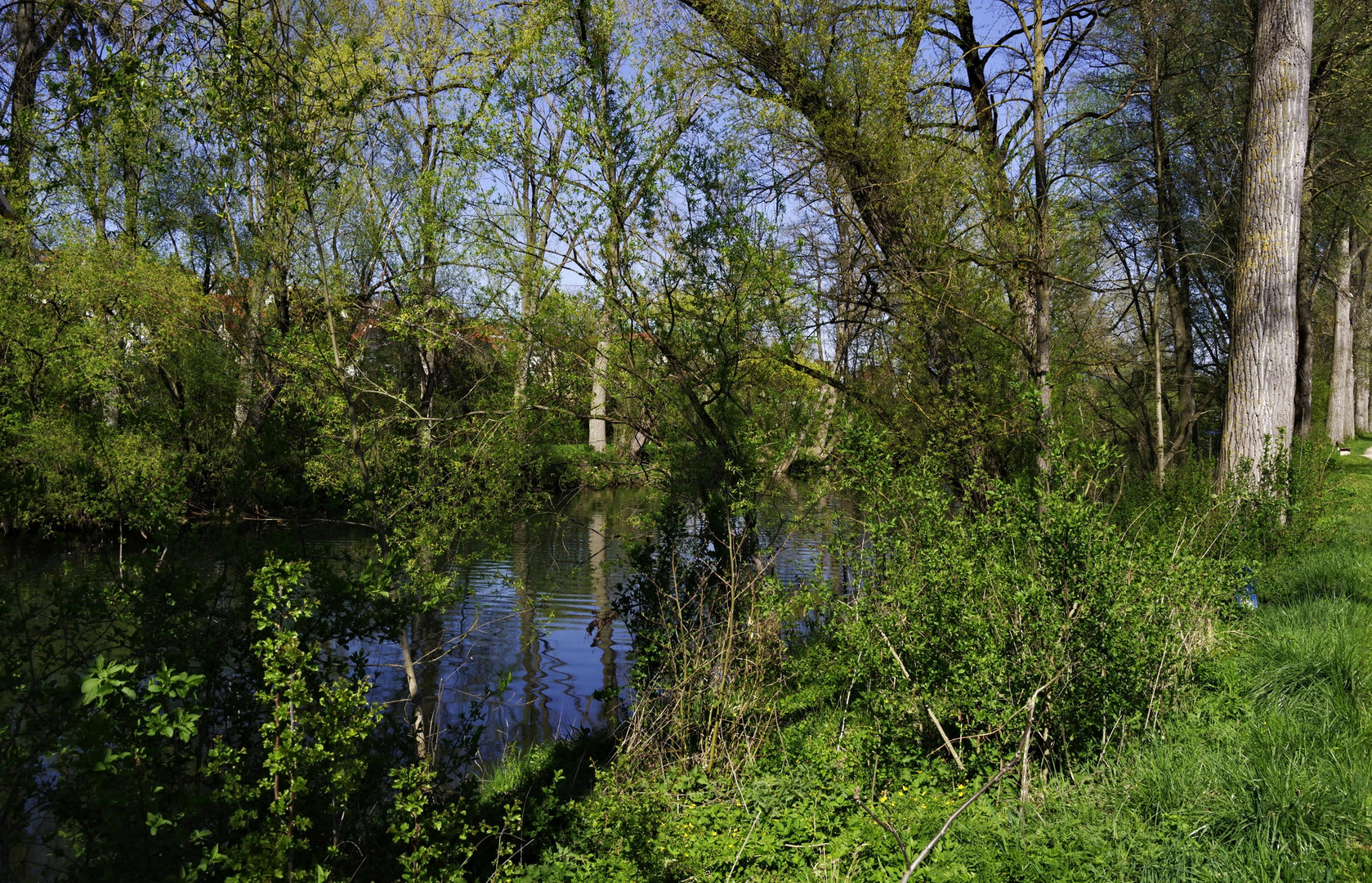 entlang des Neckar