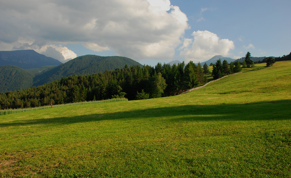 Entlang des Panoramaweg