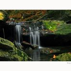 Entlang des Rieslochweges