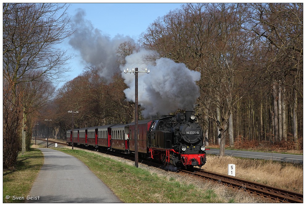 Entlang einer Baumallee hinter Heiligendamm (3)