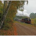 Entlang eines Waldwegs in der Selliner Heide an einem trüben Herbsttag