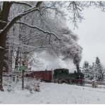 Entlang eines Wanderwegs nach Oybin