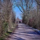 Entlang Richtung Rhein