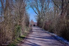 Entlang Richtung Rhein