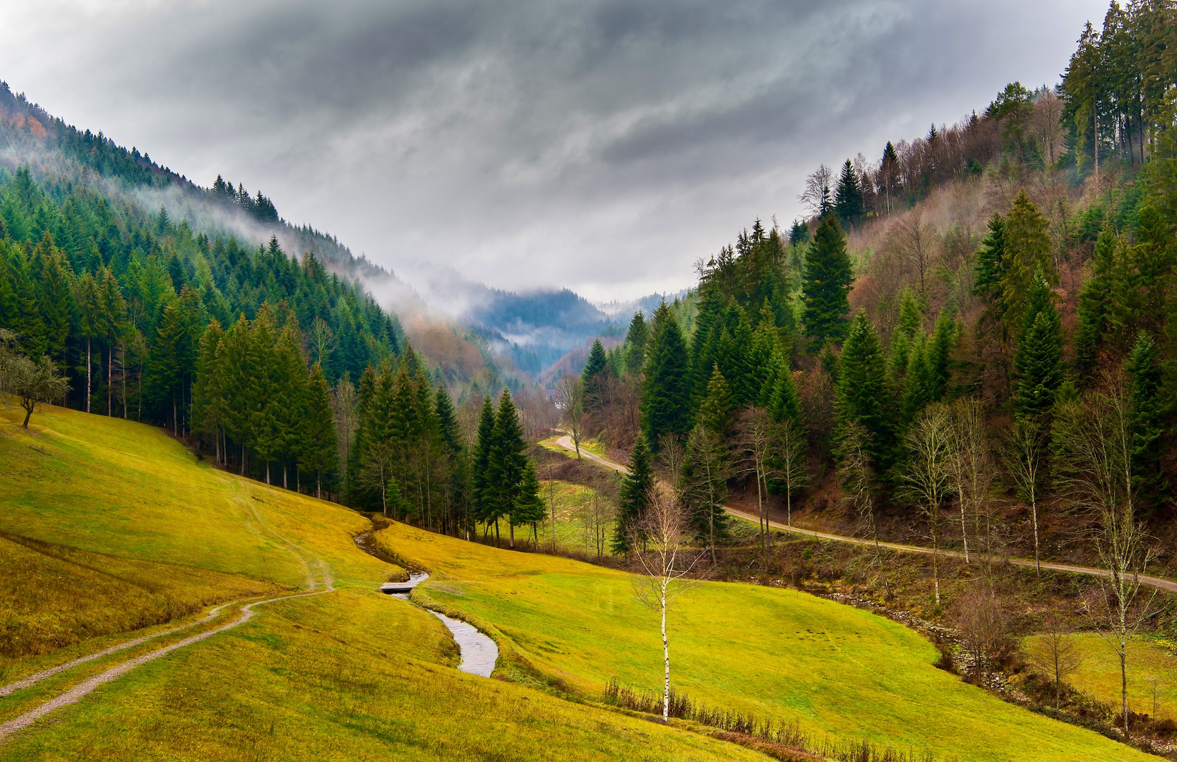 ..entlang von Waldwegen.