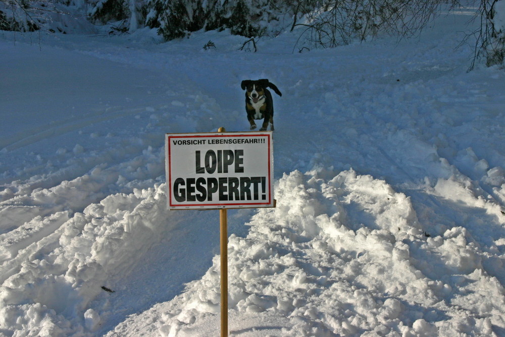 Entlebucher auf verbotenen Wegen