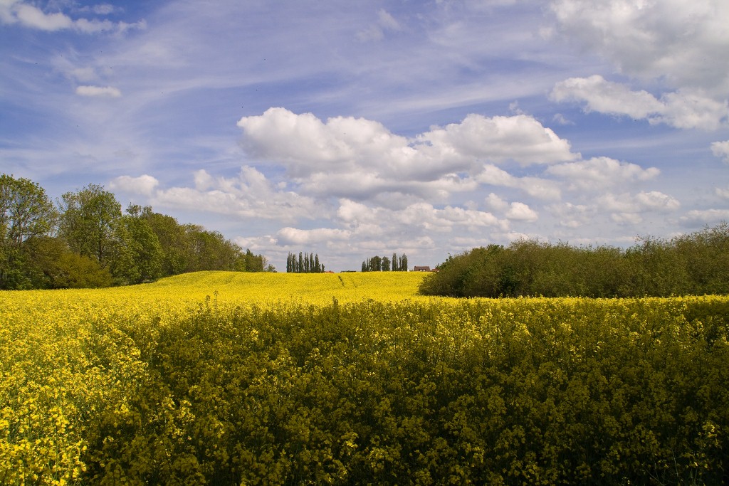 entlich mal schönes Wetter