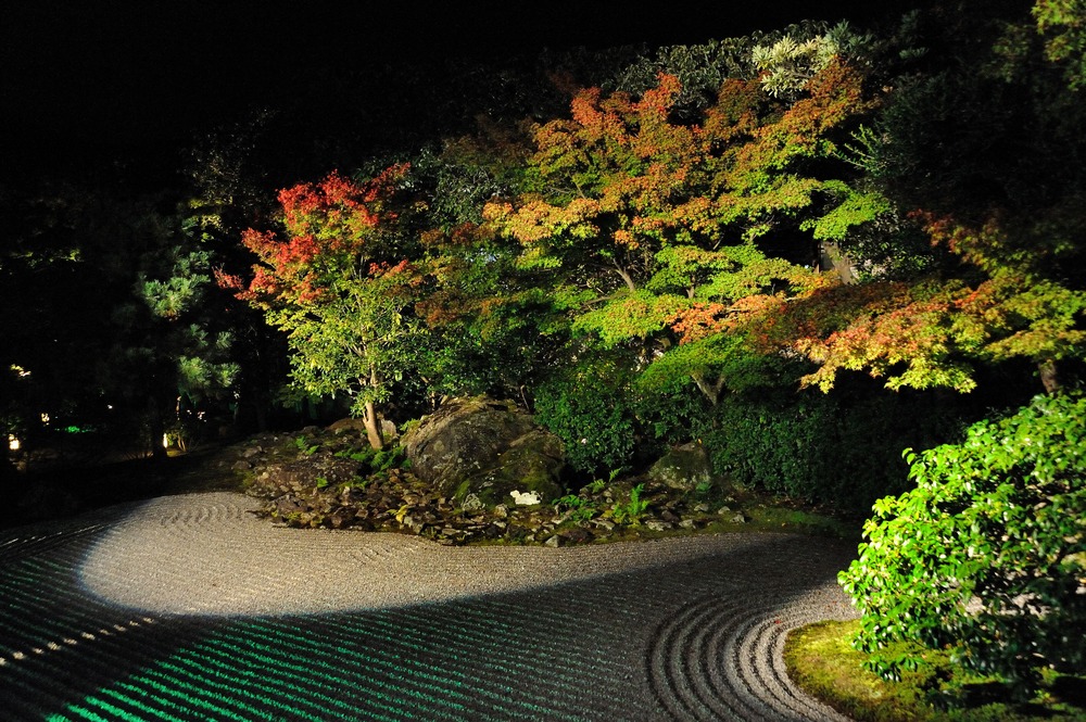 Entokuin Garden at night