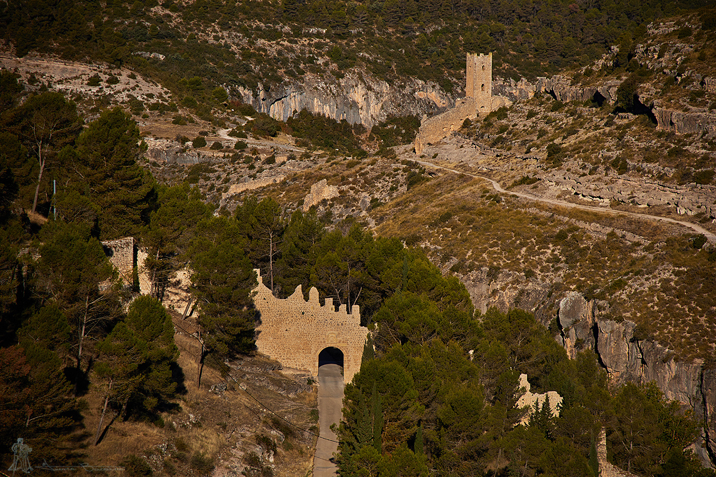 Entorno de Alarcón