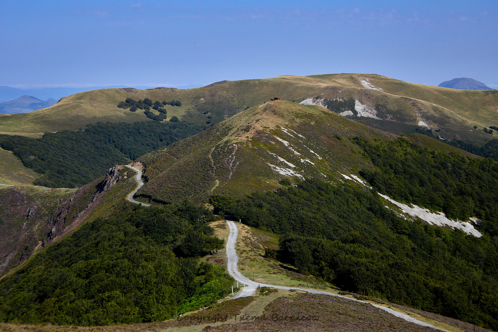 Entorno de Lepoeder