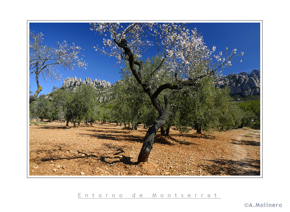 Entorno de Montserrat