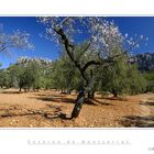 Entorno de Montserrat