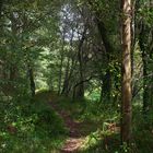 Entorno del río Sar en Vidaloiso