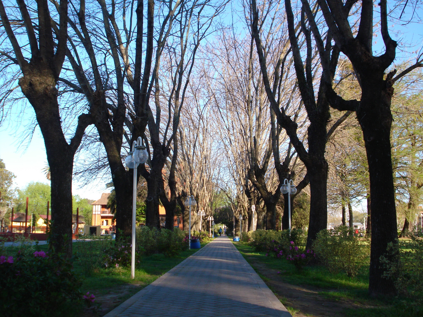 ENTRADA A LA CASONA