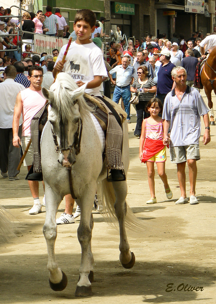 Entrada de toros