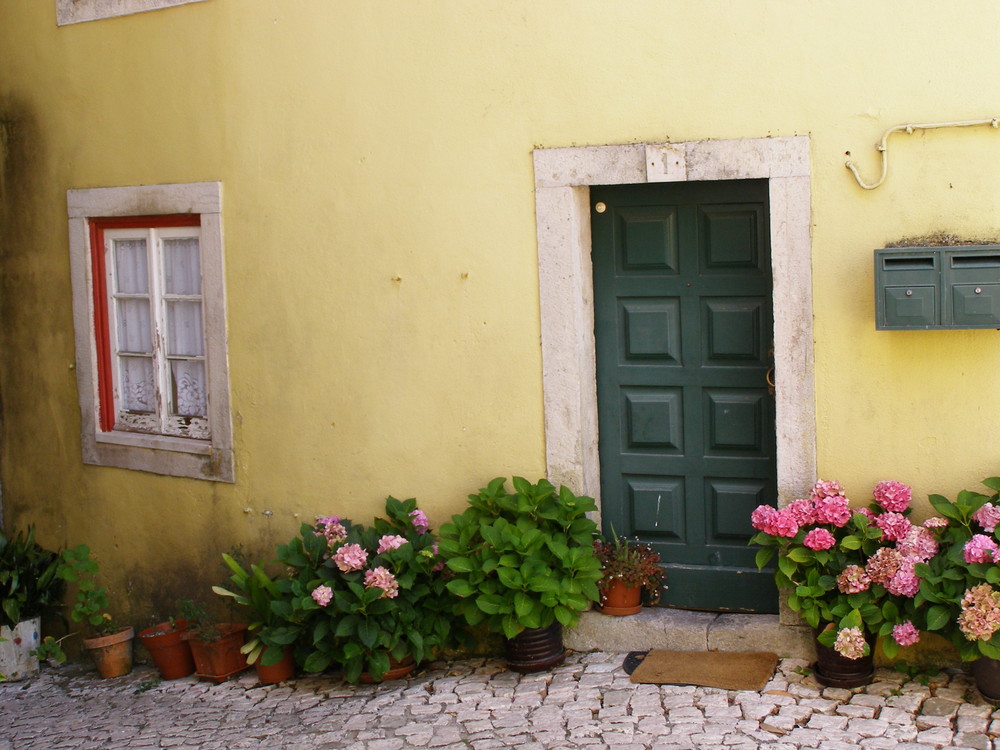 Entrada de uma casa em sintra