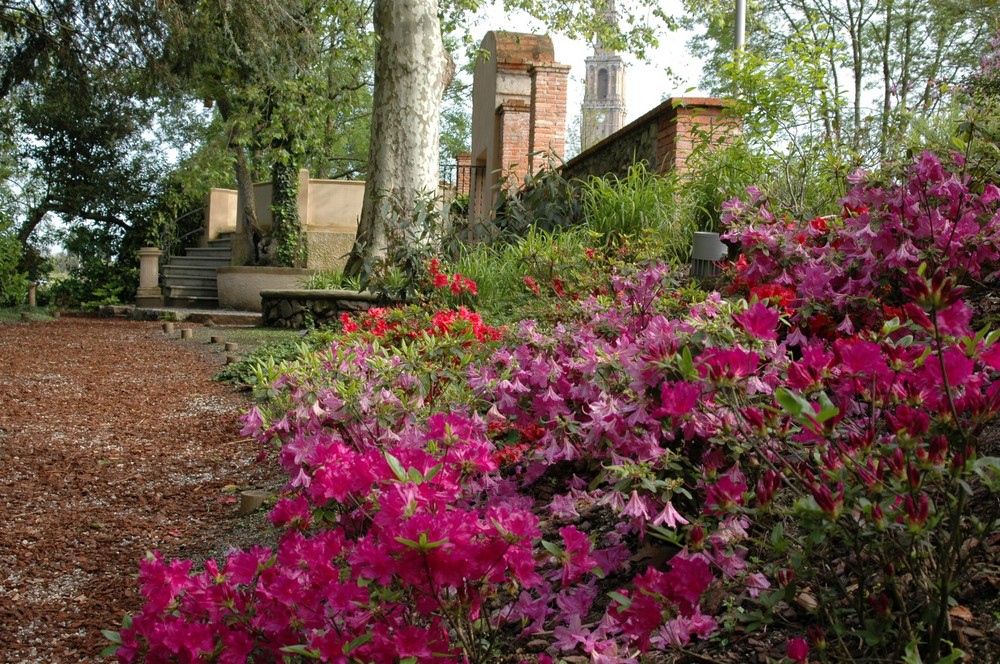 Entrada Jardin de la Isla