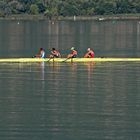 Entrainement aviron sur le lac du Bourget