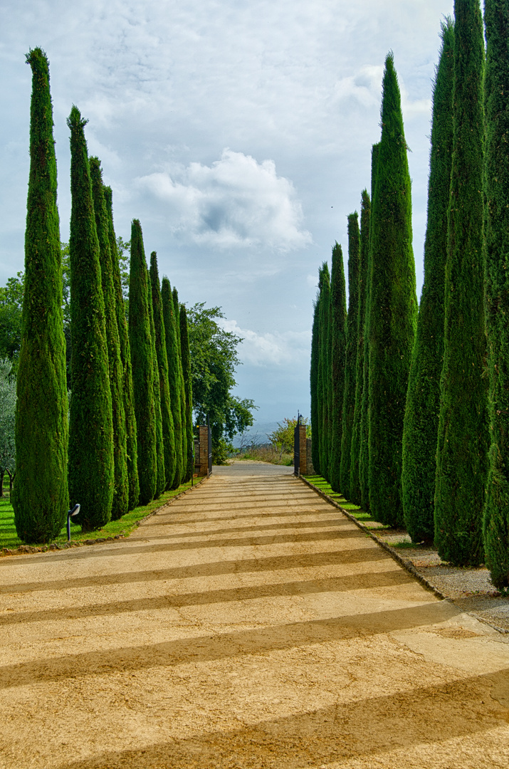 ... entrance gate ...