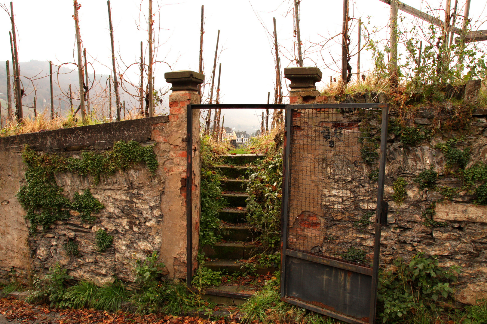 Entrance of a vineyard