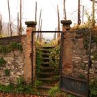 Entrance of a vineyard