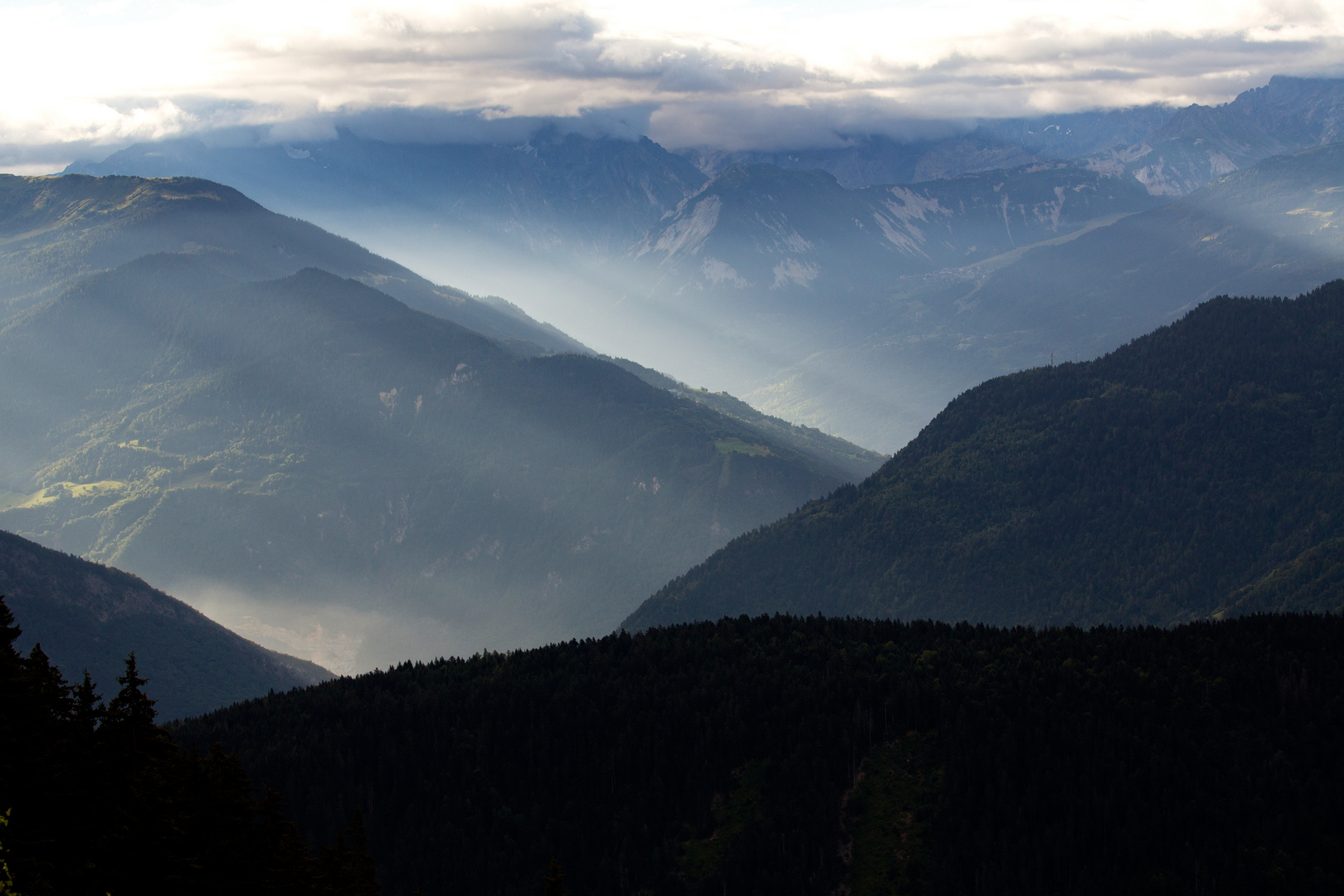 Entre brume et lumière