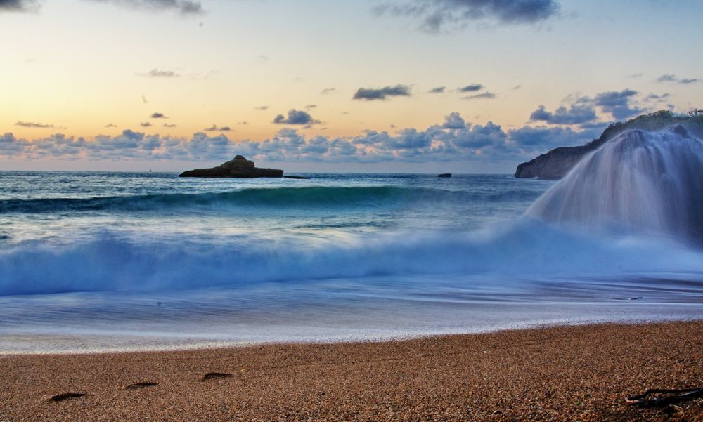 entre chien et loup..... de mer