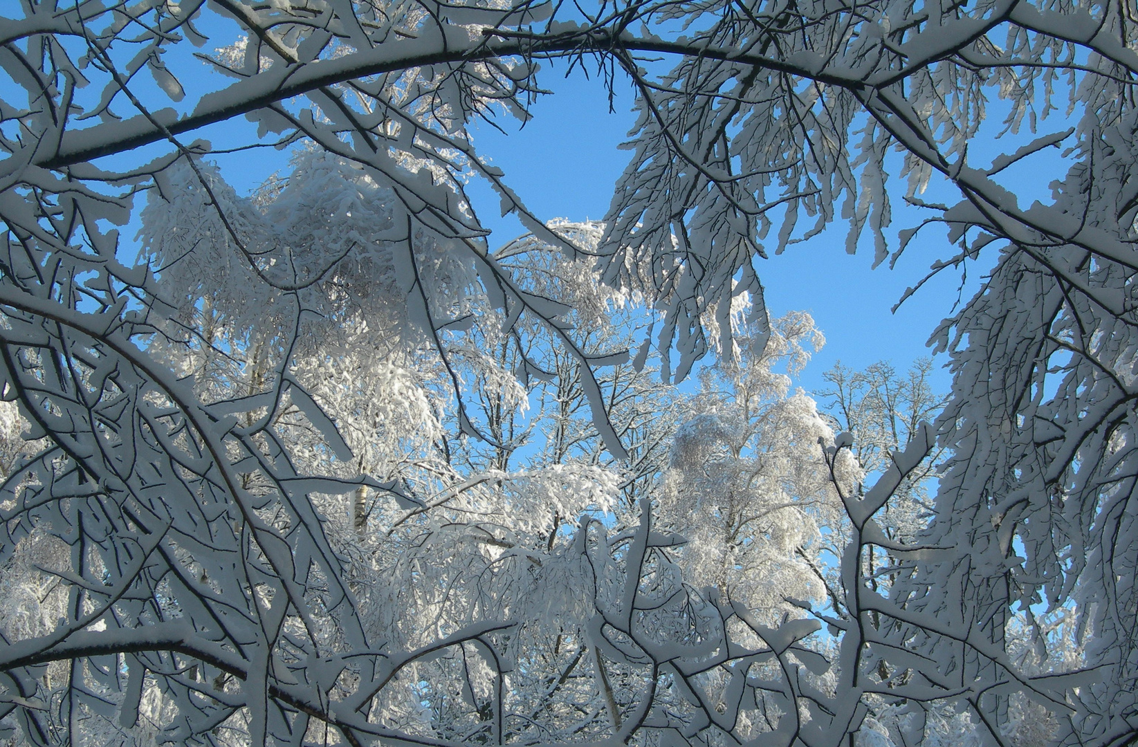 Entre ciel et Neige