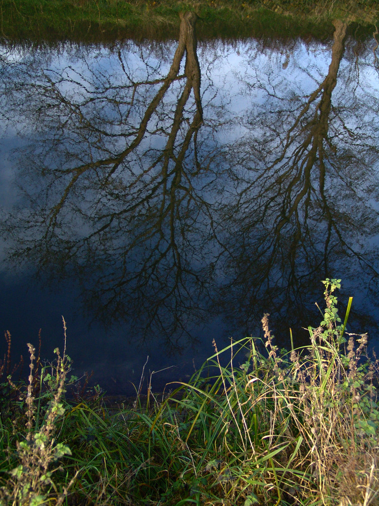 entre ciel et terre