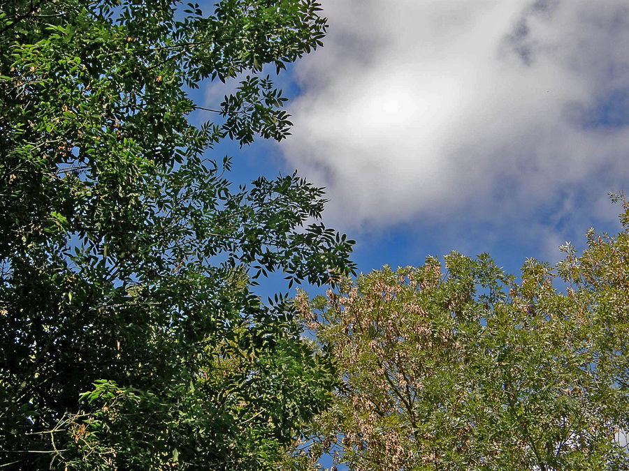 Entre ciel et terre