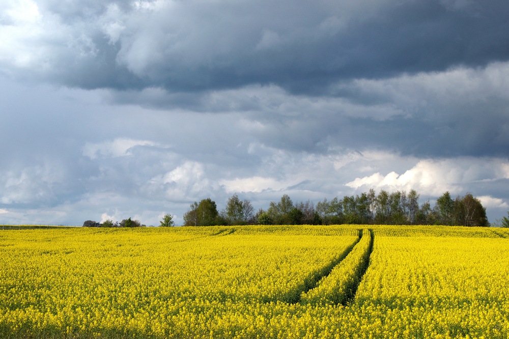 Entre ciel et terre..... photo et