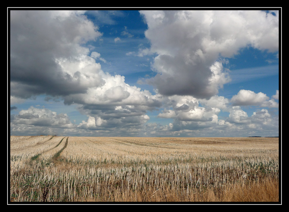 Entre ciel et terre.