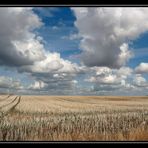 Entre ciel et terre.