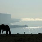 Entre Ciel, Mer et Terre   © Tous droits réservés