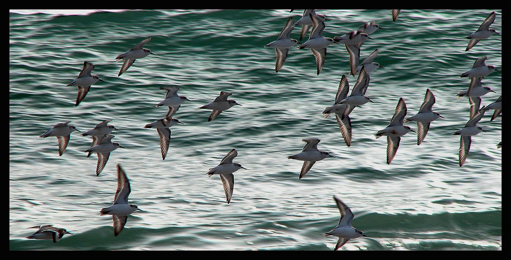 Entre deux rafales