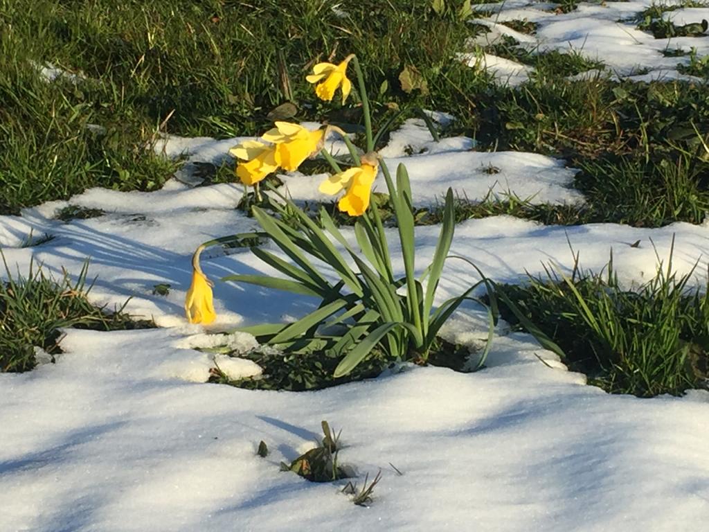 Entre deux saisons....