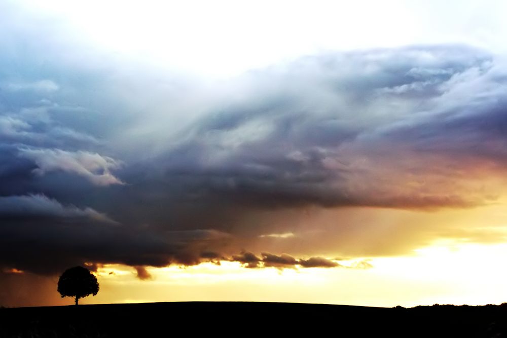 Entre deux tempêtes