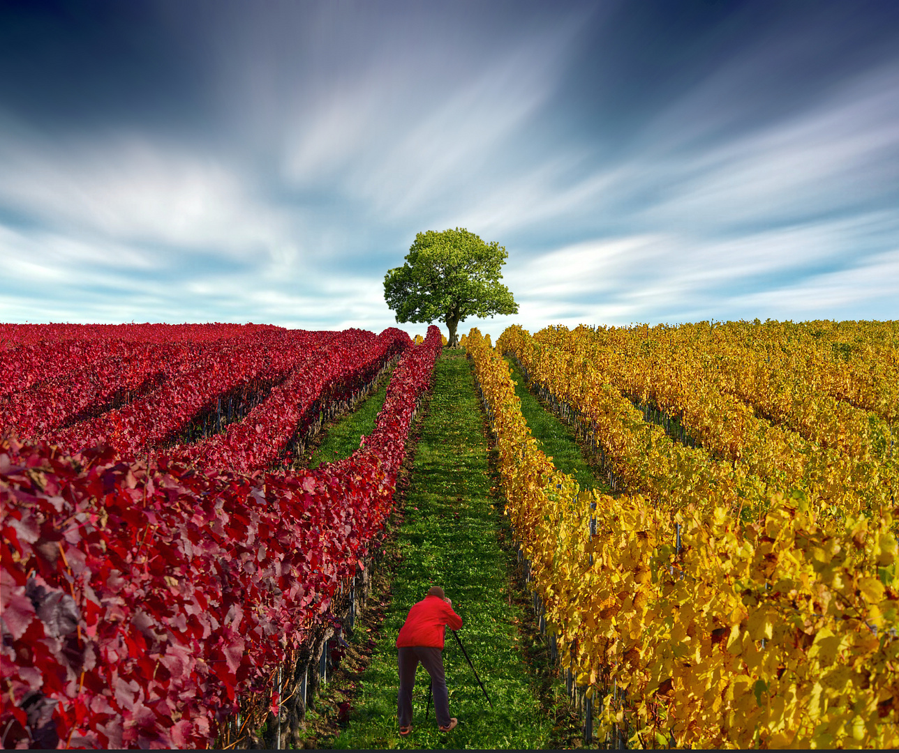 Entre Dois Mundos Foto & Bild fotomontage, landschaften, blue Bilder