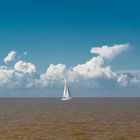 Entre el agua y el cielo